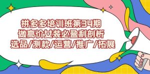 拼多多培训班第34期:做高价女装必盈利剖析  选品/测款/运营/推广/拓展-天天有课网