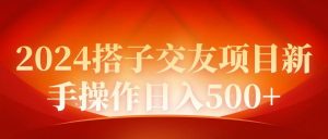 2024同城交友项目新手操作日入500+-天天有课网