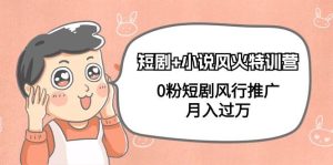 短剧+小说风火特训营，0粉短剧风行推广，月入过万（102节课）-天天有课网