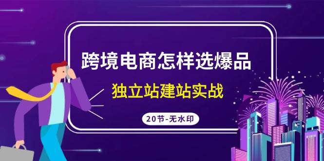 跨境电商怎样选爆品，独立站建站实战（20节高清无水印课）-天天有课网