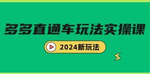 多多直通车玩法实战课，2024新玩法（7节课）-天天有课网