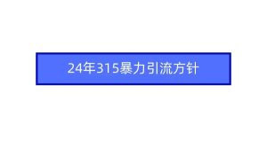 2024年315暴力引流方针-天天有课网