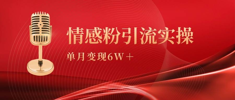 单月变现6w+，情感粉引流变现实操课-天天有课网