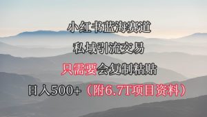 小红书短剧赛道,私域引流交易,会复制粘贴,日入500+(附6.7T短剧资源)-天天有课网