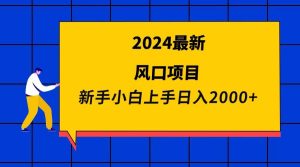 2024最新风口项目 新手小白日入2000+-天天有课网