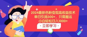 2024最新色粉变现高收益技术，单日引流300+，只需搬运，小白轻松日入1000+-天天有课网