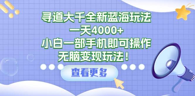 寻道大千全新蓝海玩法，一天4000+，小白一部手机即可操作，无脑变现玩法！-天天有课网
