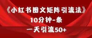 《小红书图文矩阵引流法》 10分钟-条 ，一天引流50+-天天有课网