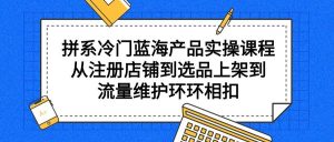 拼系冷门蓝海产品实操课程，从注册店铺到选品上架到流量维护环环相扣-天天有课网