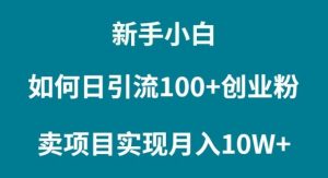 新手小白如何通过卖项目实现月入10W+-天天有课网