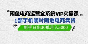 闲鱼电商运营全系统VIP实战课，1部手机随时随地卖货，新手日出30单月入5000-天天有课网