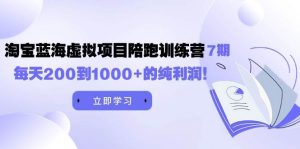 黄岛主《淘宝蓝海虚拟项目陪跑训练营7期》每天200到1000+的纯利润-天天有课网