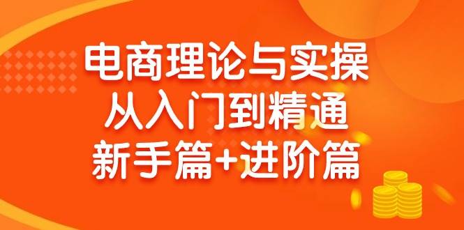 电商理论与实操从入门到精通 新手篇+进阶篇-天天有课网