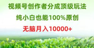 视频号创作者分成顶级玩法，纯小白也能100%原创，无脑月入10000+-天天有课网