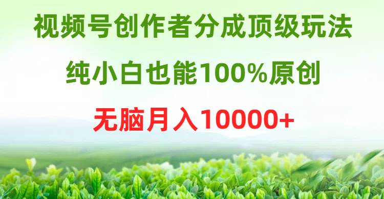 视频号创作者分成顶级玩法，纯小白也能100%原创，无脑月入10000+-天天有课网