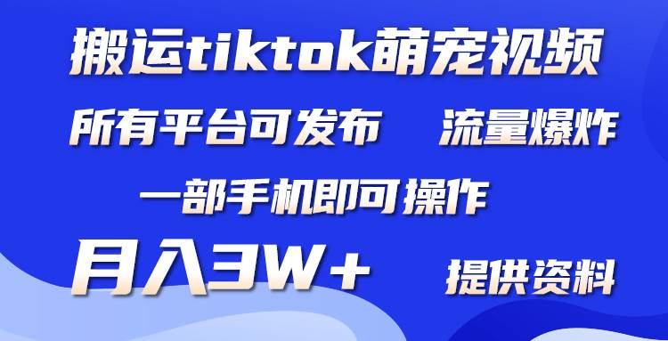 搬运Tiktok萌宠类视频，一部手机即可。所有短视频平台均可操作，月入3W+-天天有课网