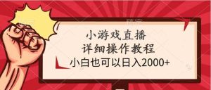 小游戏直播详细操作教程,小白也可以日入2000+-天天有课网