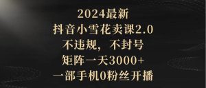 2024最新抖音小雪花卖课2.0 不违规 不封号 矩阵一天3000+一部手机0粉丝开播-天天有课网
