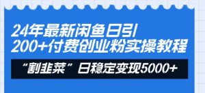 24年最新闲鱼日引200+付费创业粉，割韭菜每天5000+收益实操教程！-天天有课网