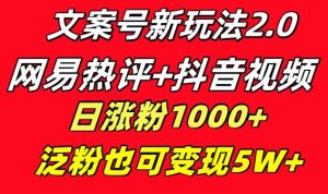 文案号新玩法 网易热评+抖音文案 一天涨粉1000+ 多种变现模式 泛粉也可变现-天天有课网