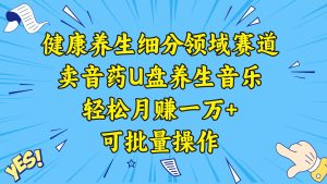 健康养生细分领域赛道，卖音药U盘养生音乐，轻松月赚一万+，可批量操作-天天有课网