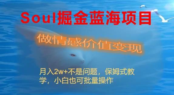 Soul掘金蓝海项目细分赛道，做情感价值变现，月入2w+不是问题-天天有课网