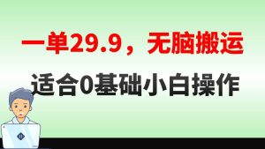 无脑搬运一单29.9，手机就能操作，卖儿童绘本电子版，单日收益400+-天天有课网