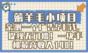 薅羊毛小项目,亲测一个广告5毛钱,提现无门槛!一块手机最高收入140!-天天有课网