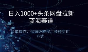 日入1000+头条网盘拉新蓝海赛道,简单操作,保姆级教程,多种变现方式-天天有课网