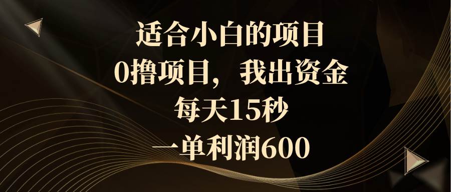 适合小白的项目，0撸项目，我出资金，每天15秒，一单利润600-天天有课网