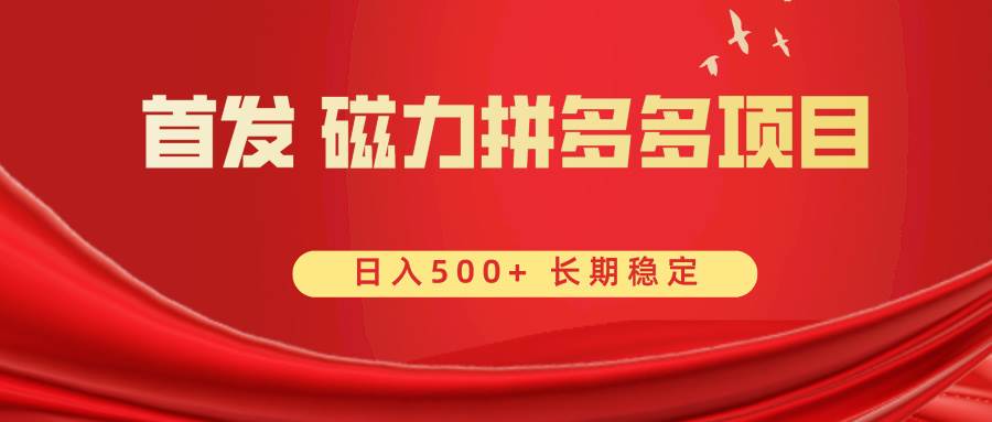 首发 磁力拼多多自撸  日入500+-天天有课网