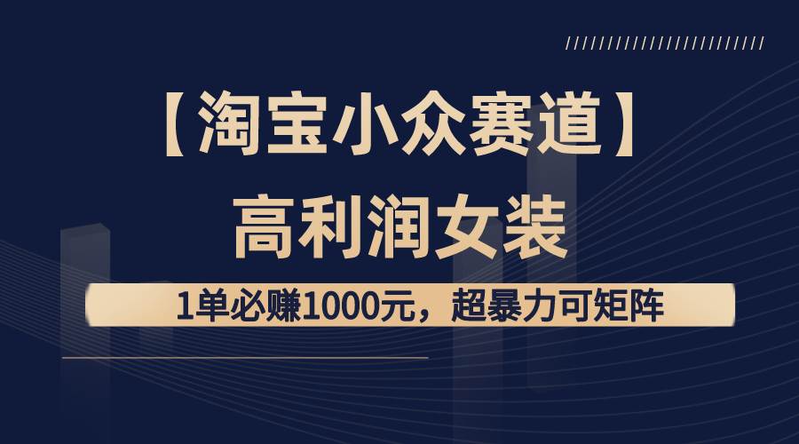 【淘宝小众赛道】高利润女装：1单必赚1000元，超暴力可矩阵-天天有课网