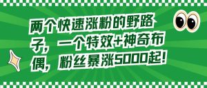 两个快速涨粉的野路子,一个特效+神奇布偶,粉丝暴涨5000起!-天天有课网