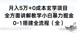 月入5万+0成本玄学项目,全方面讲解教学,0-1搭建全流程(全)小白暴力掘金-天天有课网