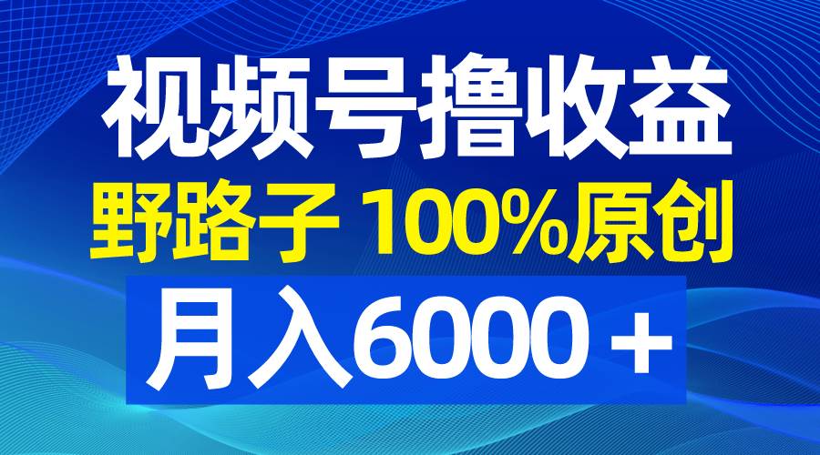 视频号野路子撸收益，100%原创，条条爆款，月入6000＋-天天有课网