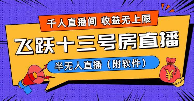 爆火飞跃十三号房半无人直播，一场直播上千人，日入过万！（附软件）-天天有课网