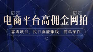 电商平台高佣金网拍,靠谱项目,执行就能赚钱,简单操作-天天有课网