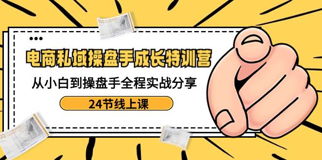 电商私域-操盘手成长特训营：从小白到操盘手全程实战分享-24节线上课-天天有课网