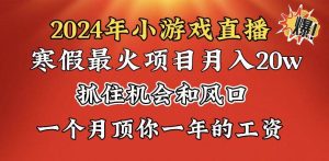 2024年寒假爆火项目，小游戏直播月入20w+，学会了之后你将翻身-天天有课网