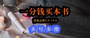 每天花1分钱买一本书,闲鱼出售9.9-19.9不等,多账号多撸 新手小白均可操作-天天有课网