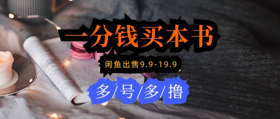 每天花1分钱买一本书，闲鱼出售9.9-19.9不等，多账号多撸 新手小白均可操作-天天有课网