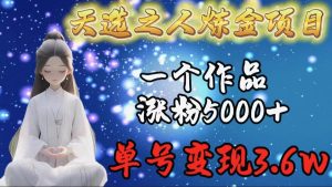 天选之人炼金项目，一个作品涨粉5000+，单号变现3.6w-天天有课网
