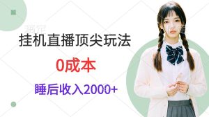 挂机直播顶尖玩法，睡后日收入2000+、0成本，视频教学-天天有课网
