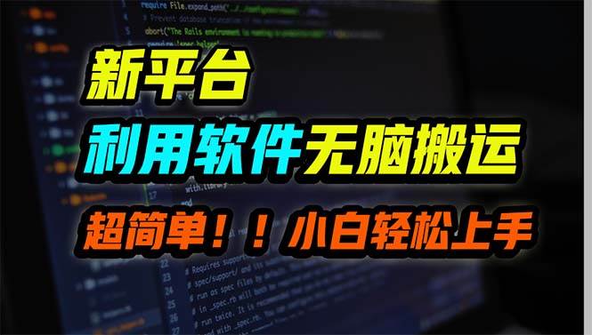 新平台用软件无脑搬运，月赚10000+，小白也能轻松上手-天天有课网