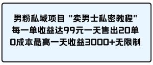 男粉私域项目 卖男士私密教程 每一单收益达99元一天售出20单-天天有课网