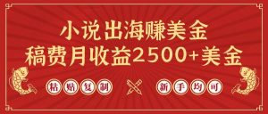 小说出海赚美金，稿费月收益2500+美金，仅需chatgpt粘贴复制，新手也能玩转-天天有课网
