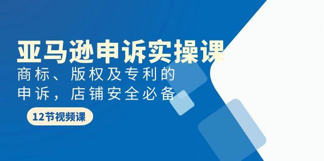 亚马逊-申诉实战课，商标、版权及专利的申诉，店铺安全必备-天天有课网