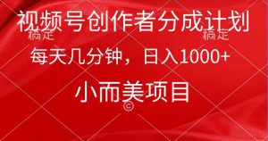 视频号创作者分成计划，每天几分钟，收入1000+，小而美项目-天天有课网