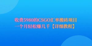 CSGO装备搬砖,月综合收益率高达60%,你也可以!-天天有课网