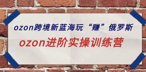 ozon跨境新蓝海玩“赚”俄罗斯,ozon进阶实操训练营-天天有课网